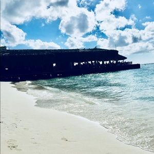 Meet your Posher, Brandi